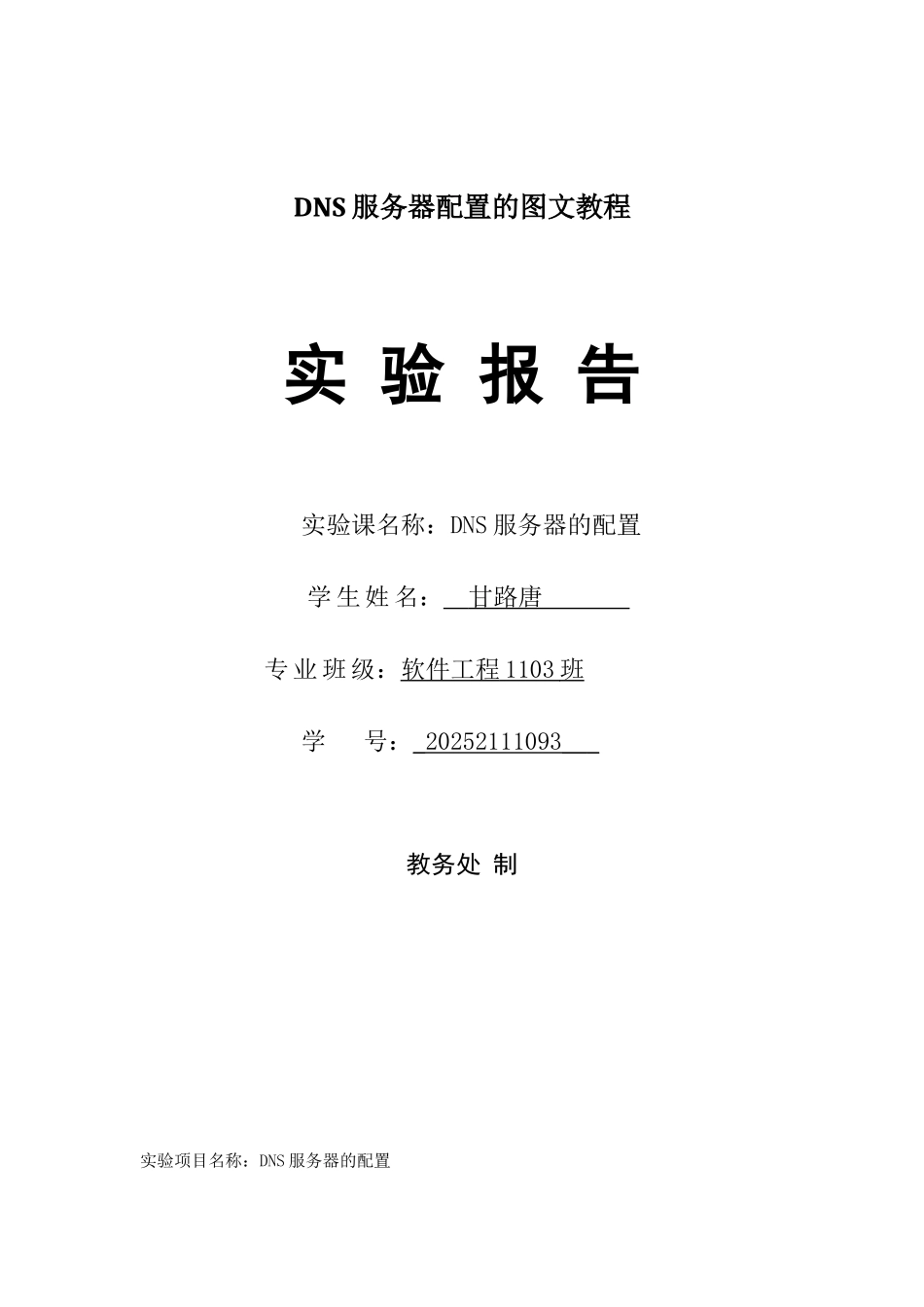 DNS服务器配置的图文教程_第1页