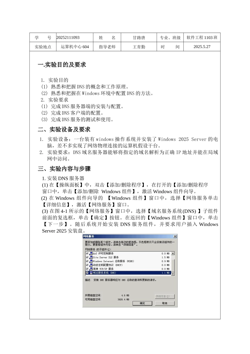 DNS服务器配置的图文教程_第2页