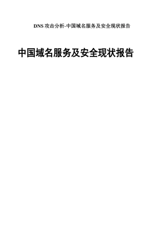 DNS攻击分析-中国域名服务及安全现状报告