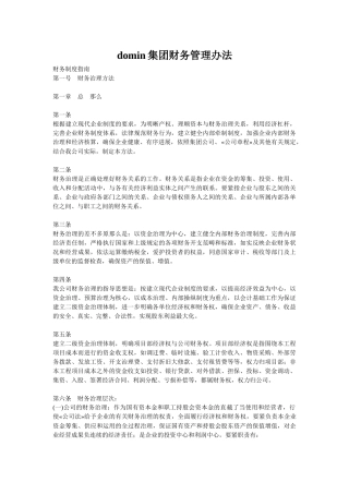 domin集团财务管理办法