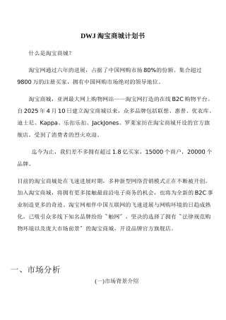 DWJ淘宝商城计划书