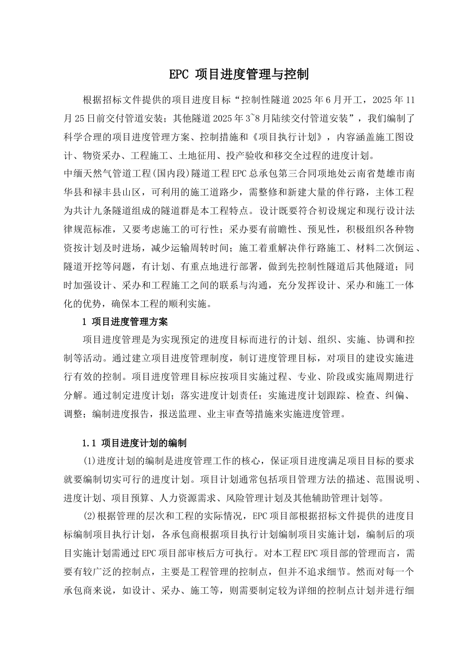 EPC项目进度管理与控制措施_第1页