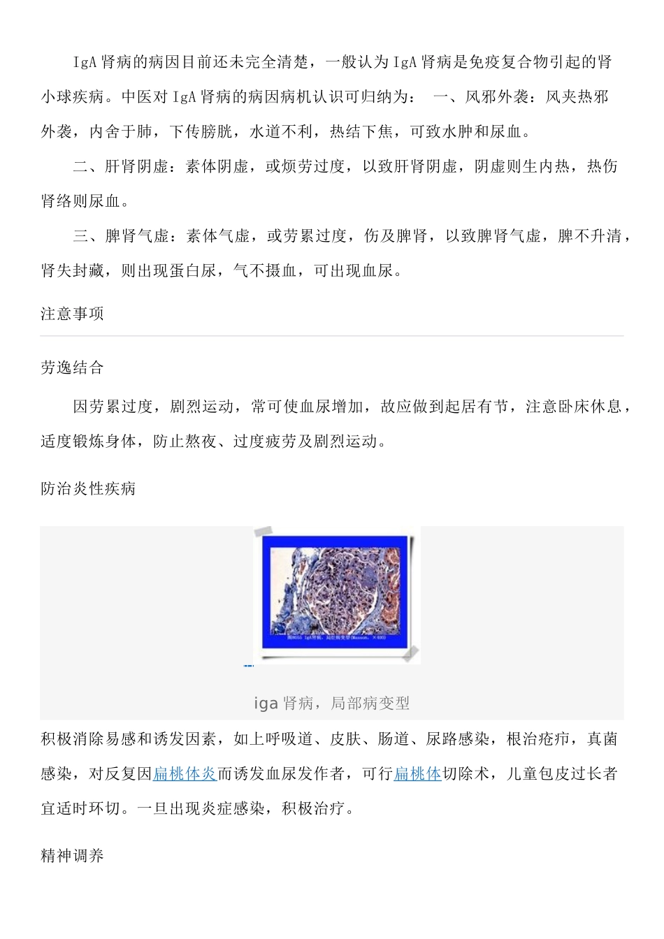 iga肾病饮食原则及日常生活指导_第2页