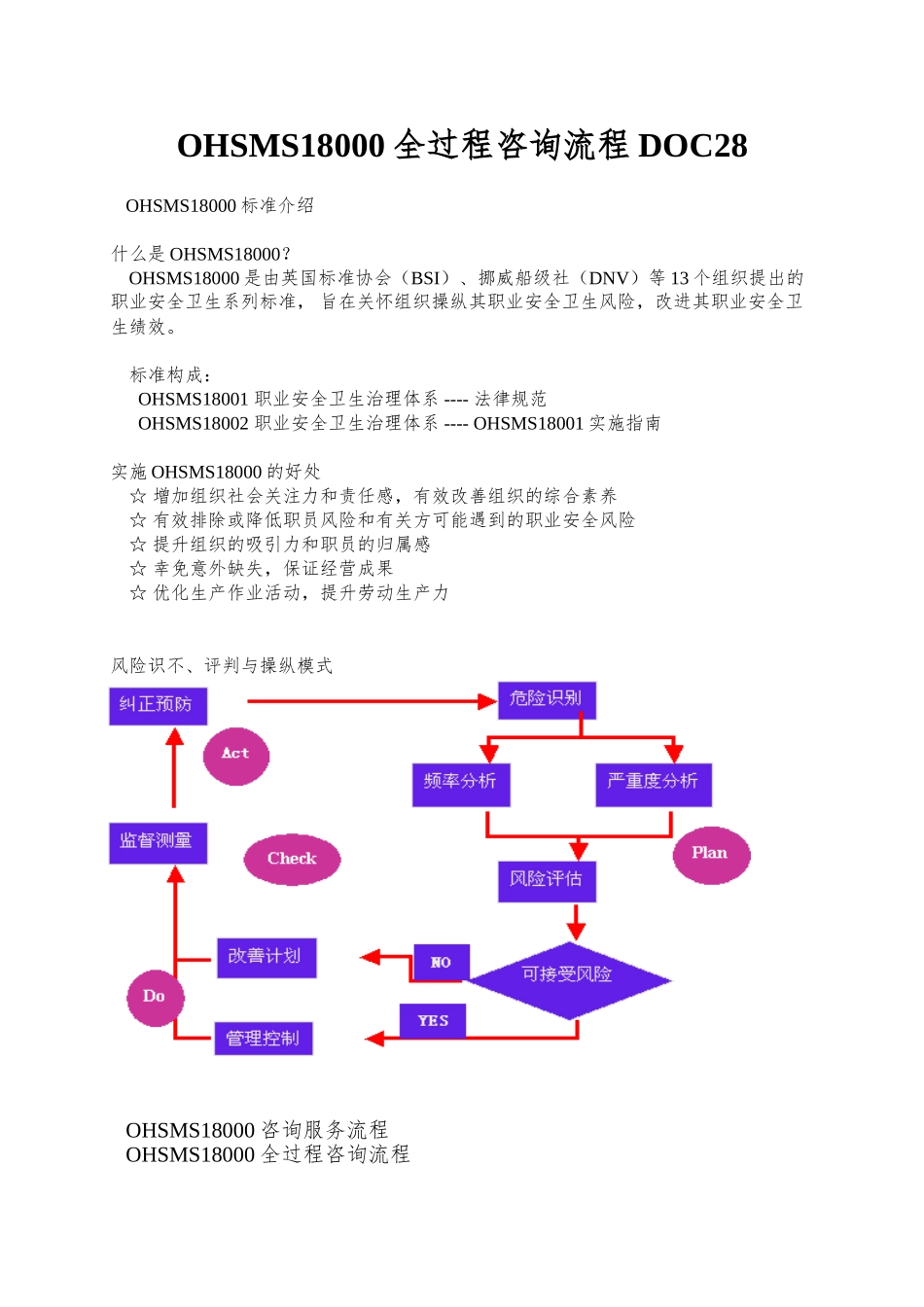 OHSMS18000全过程咨询流程DOC28_第1页