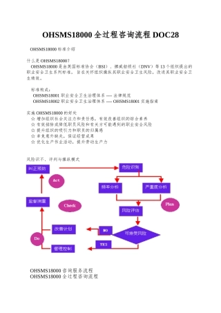 OHSMS18000全过程咨询流程DOC28