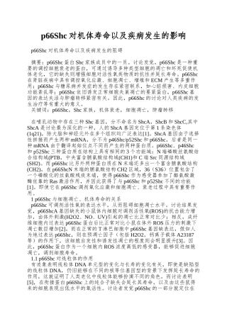 p66Shc对机体寿命以及疾病发生的影响