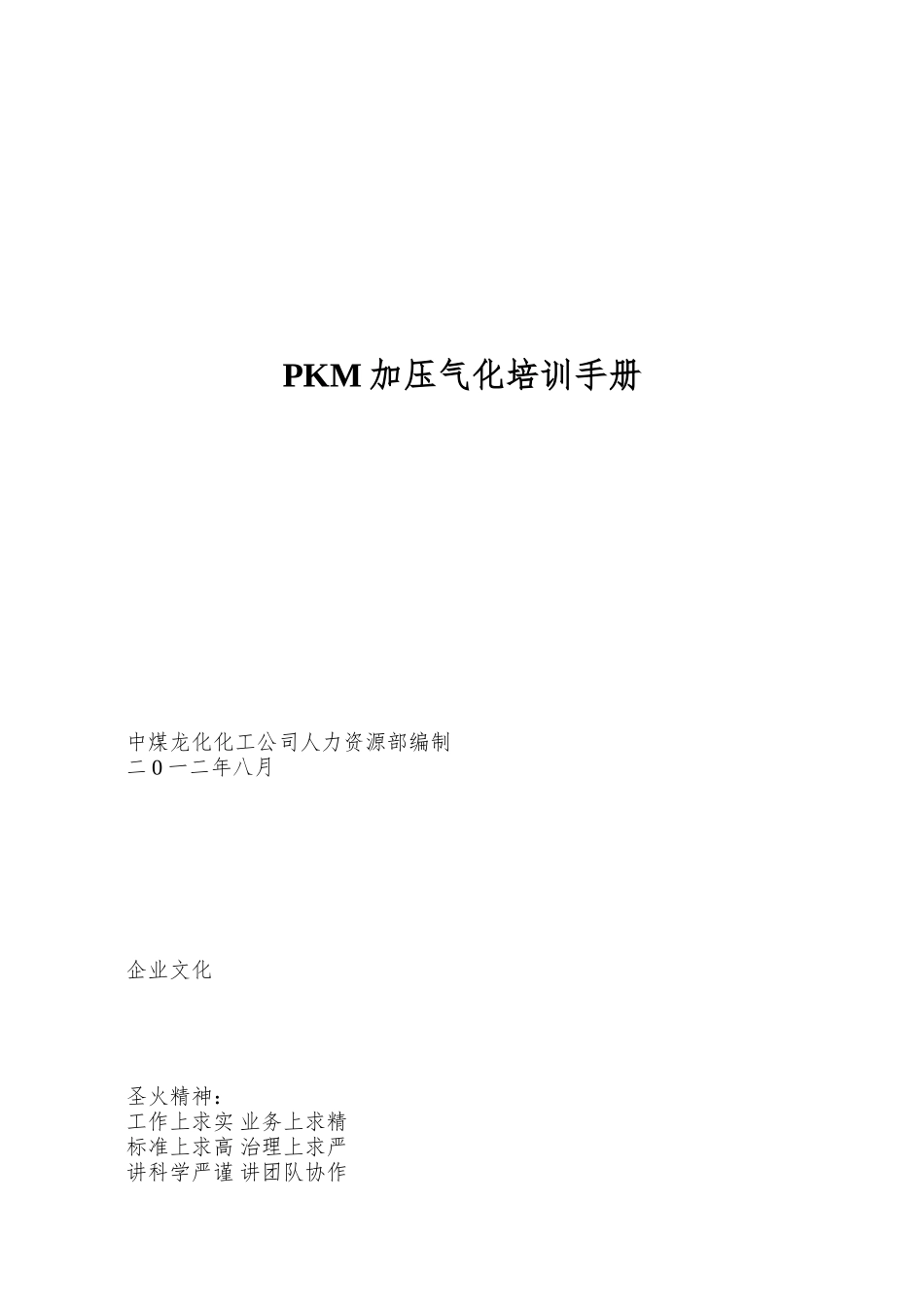 PKM加压气化培训手册_第1页