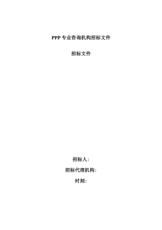 PPP专业咨询机构招标文件