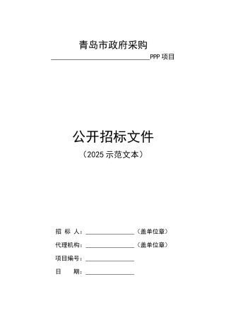 PPP项目公开招标文件