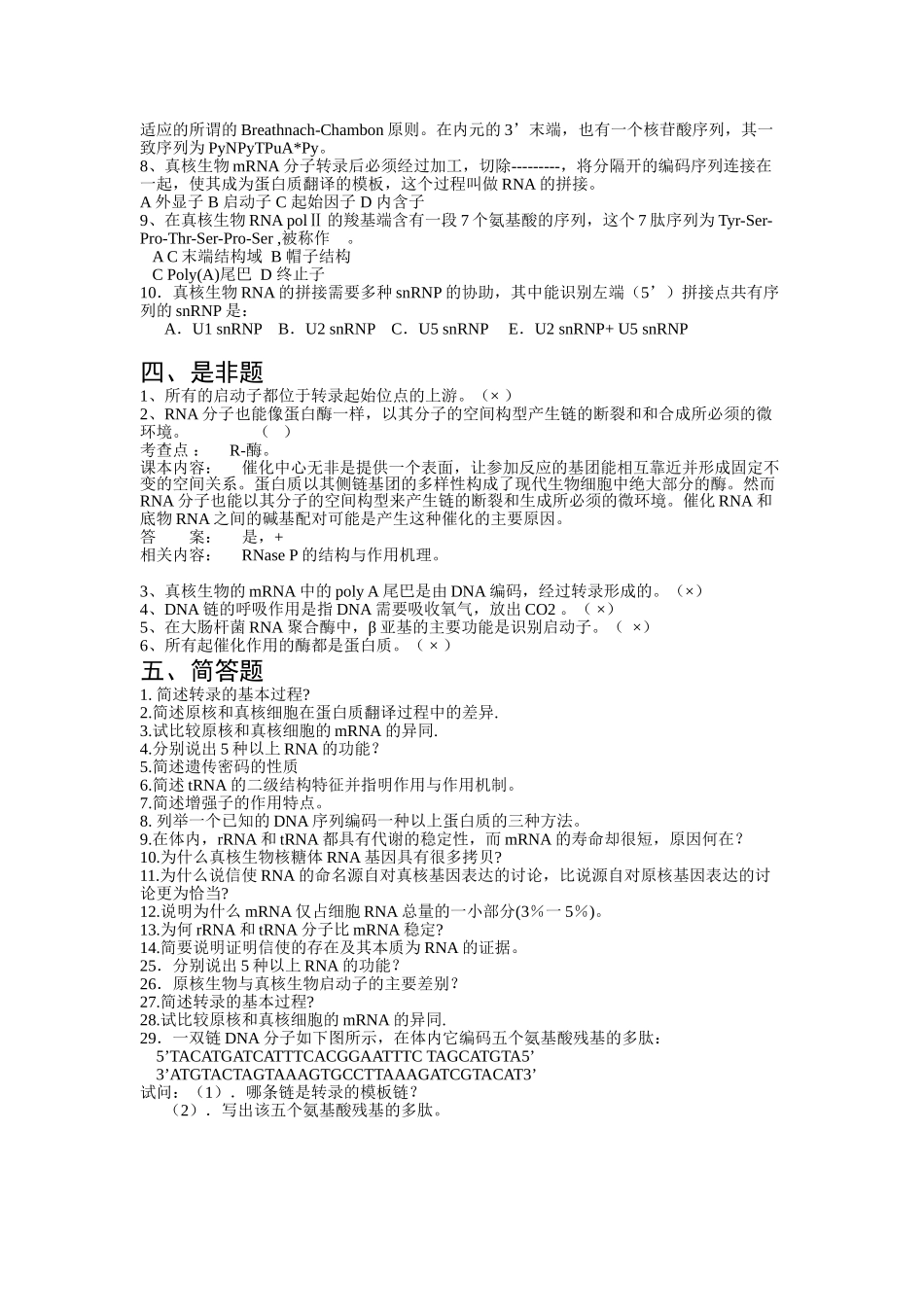 RNA的转录与转录后加工_第2页