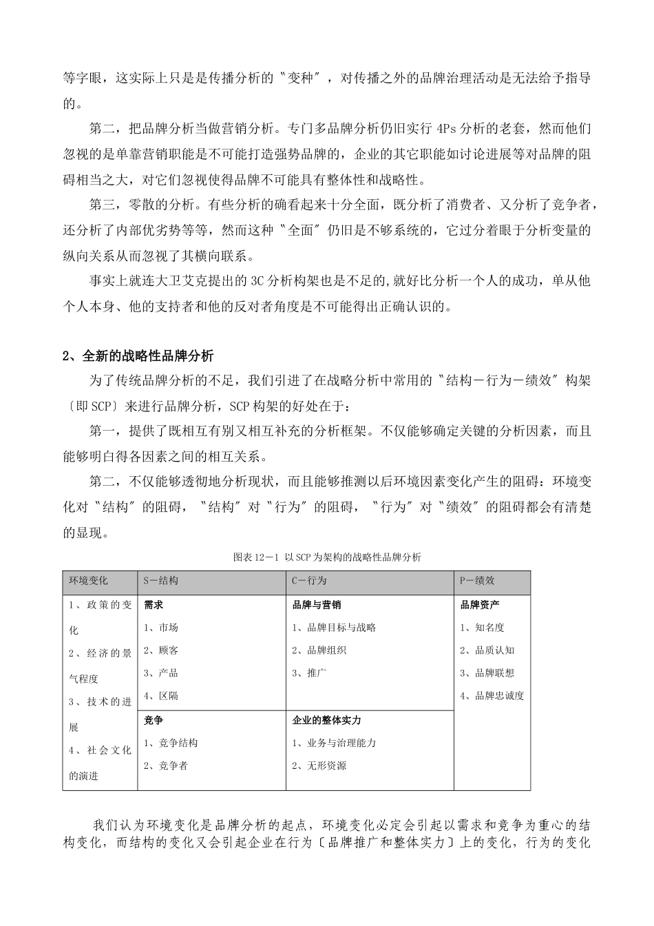 SCP战略性品牌分析_第2页