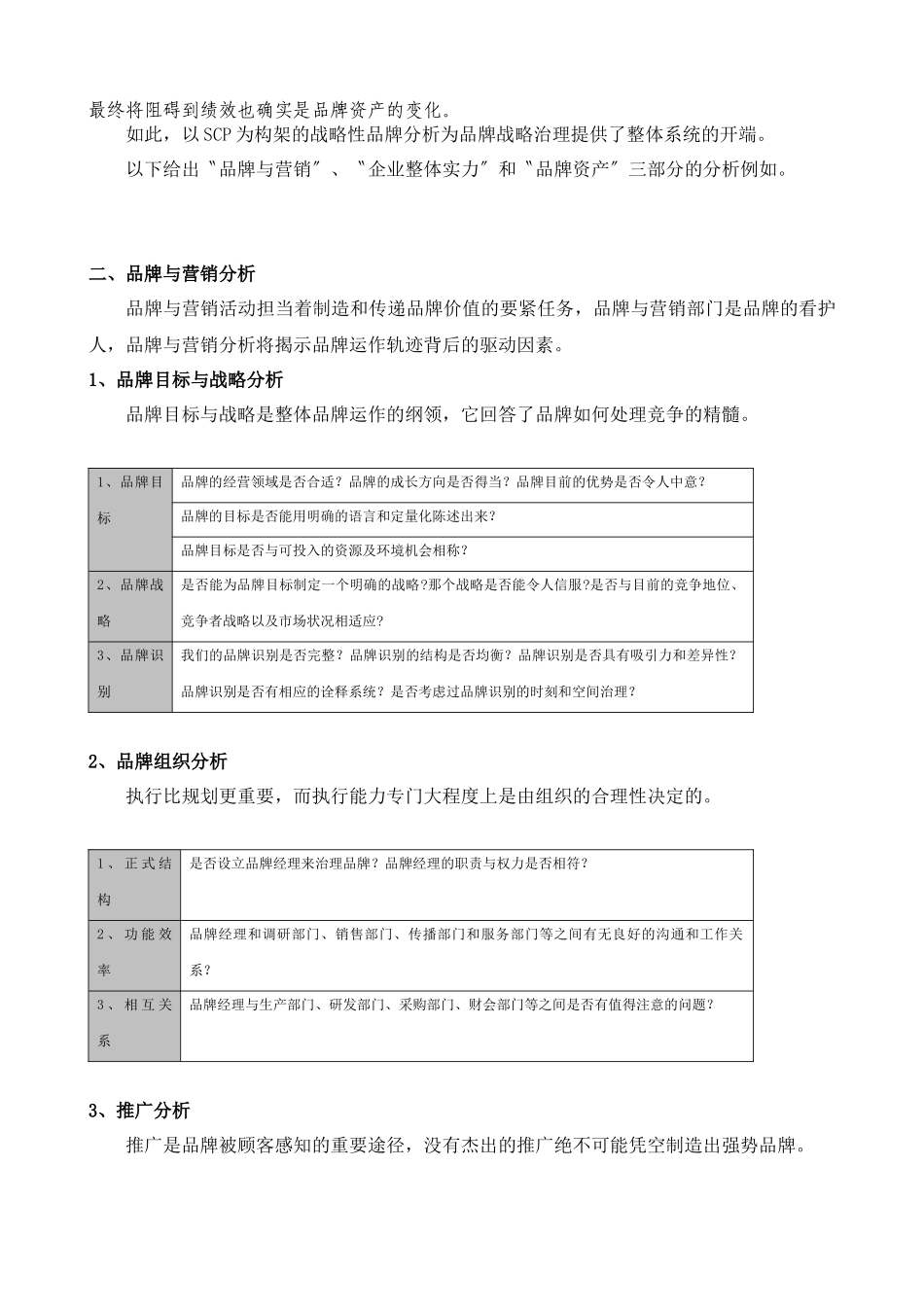 SCP战略性品牌分析_第3页