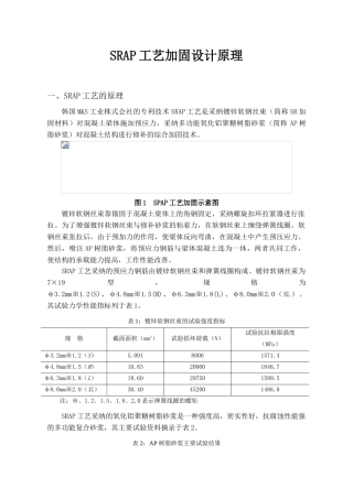 srap工艺加固设计原理