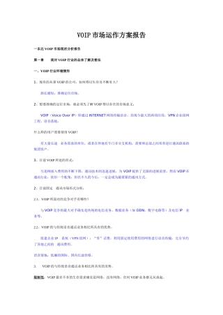 VOIP市场运作方案报告