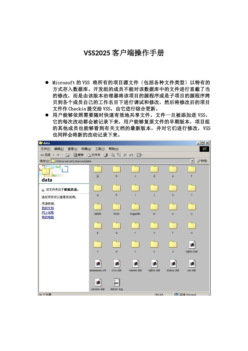 VSS2025客户端操作手册_第1页