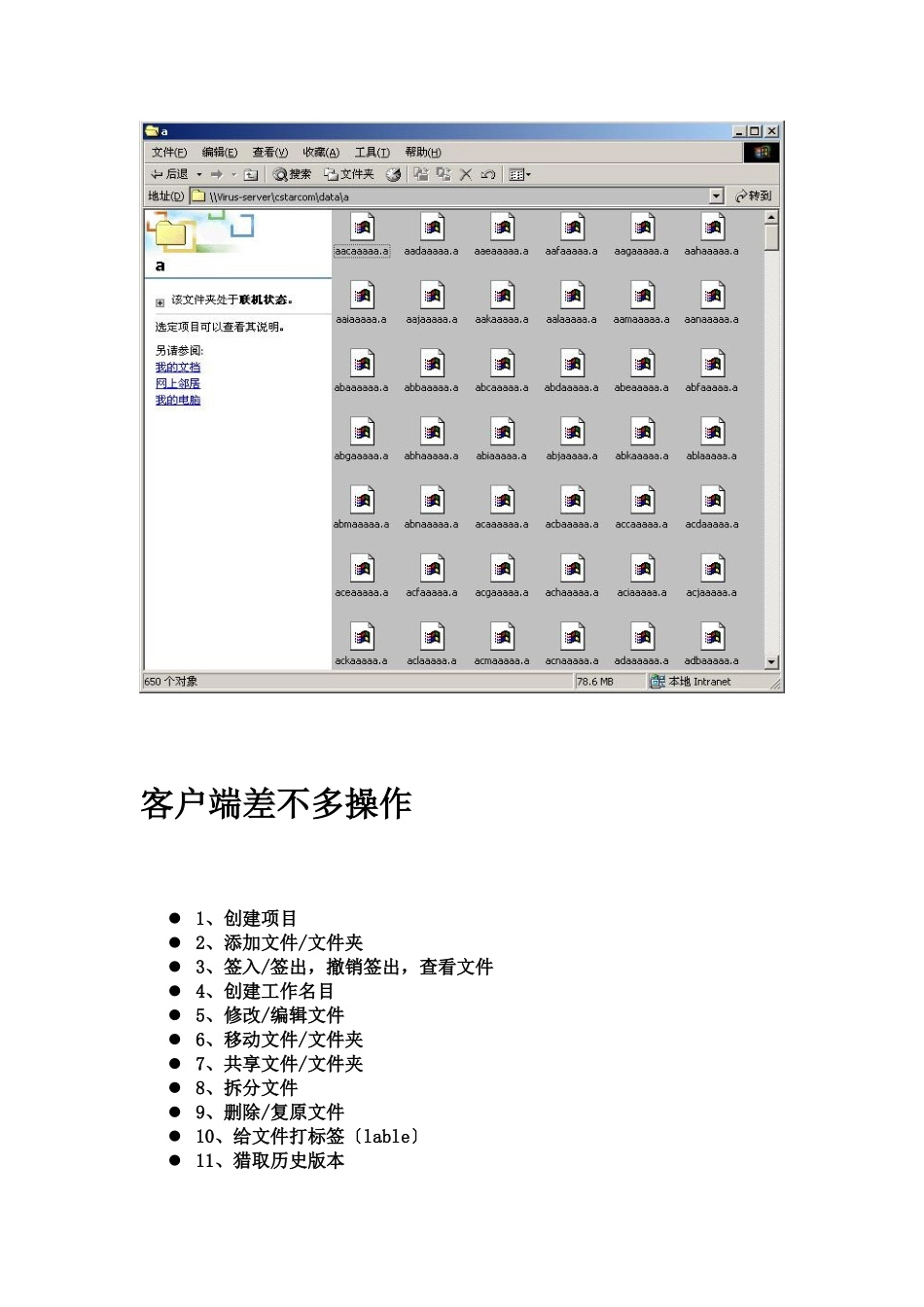 VSS2025客户端操作手册_第2页