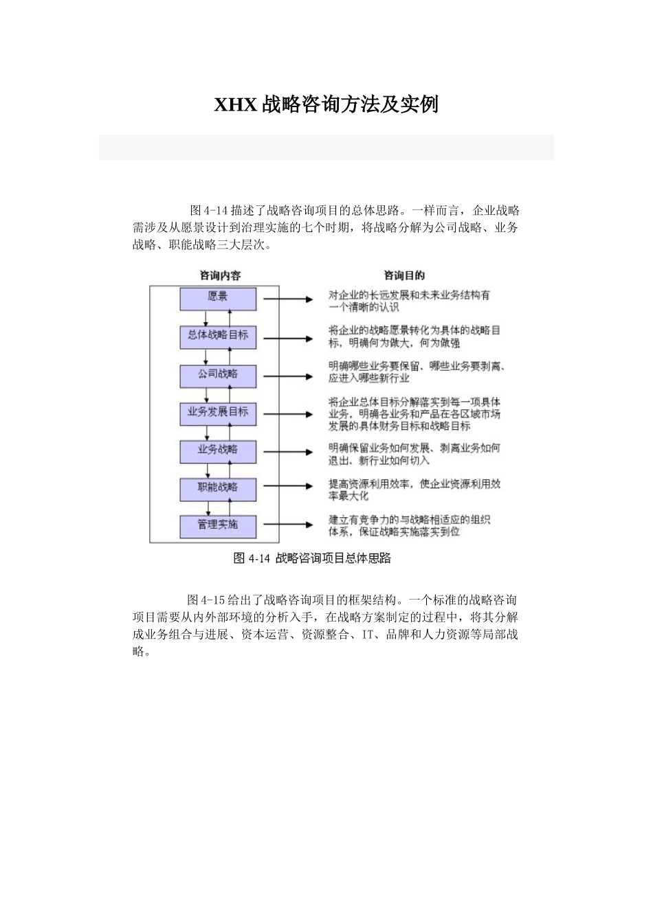 XHX战略咨询方法及实例_第1页