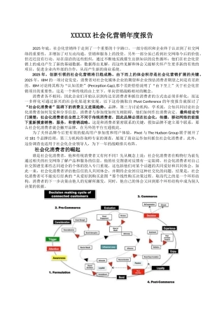 XXXXXX社会化营销年度报告