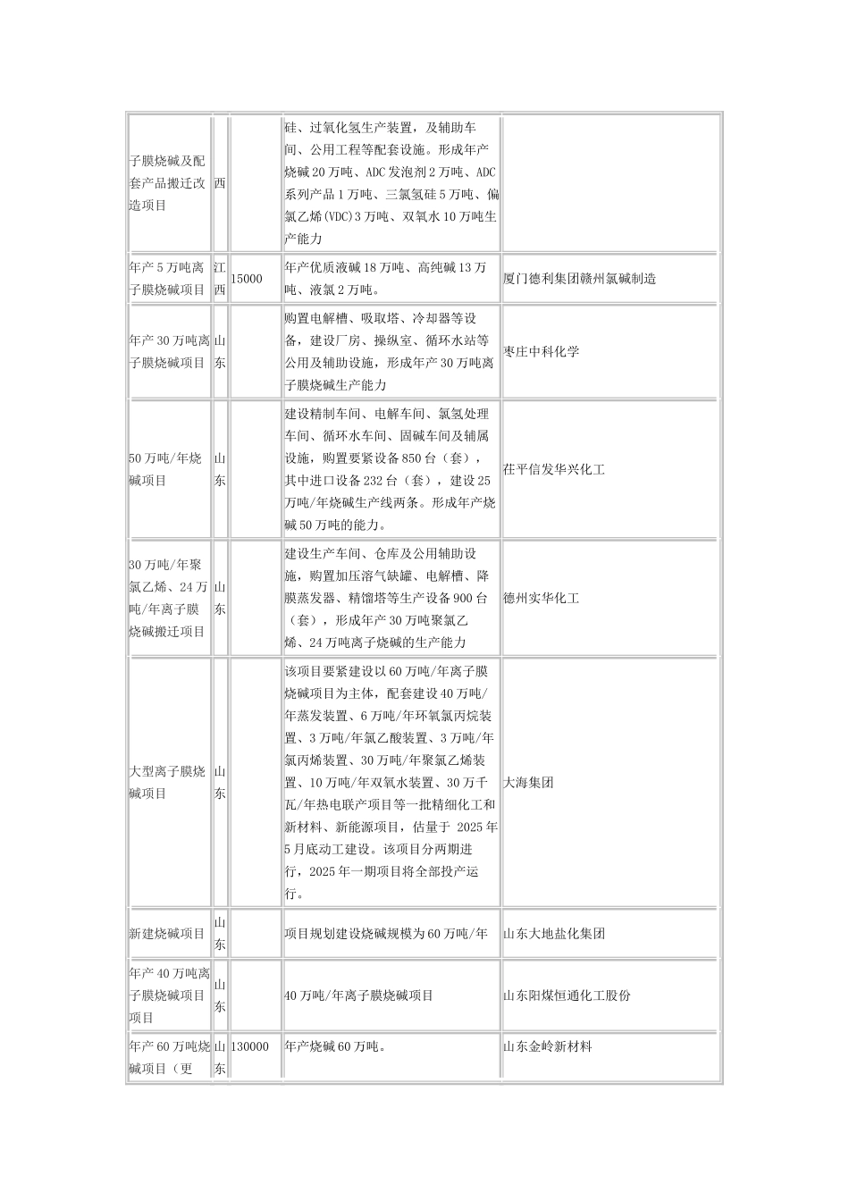 XXX年我国烧碱拟在建项目_第3页