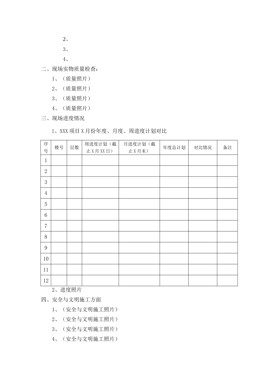 XXX项目X月份月度检查报告_第2页