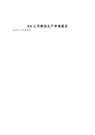 XX公司清洁生产审核报告