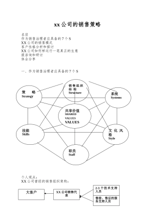 xx公司的销售策略