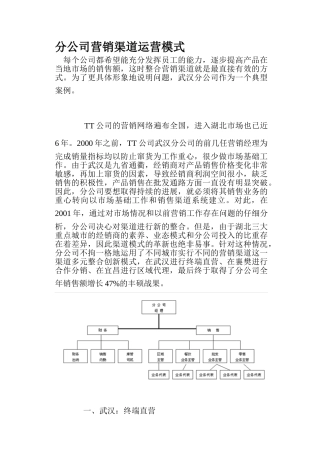 xx分公司营销渠道运营模式案例