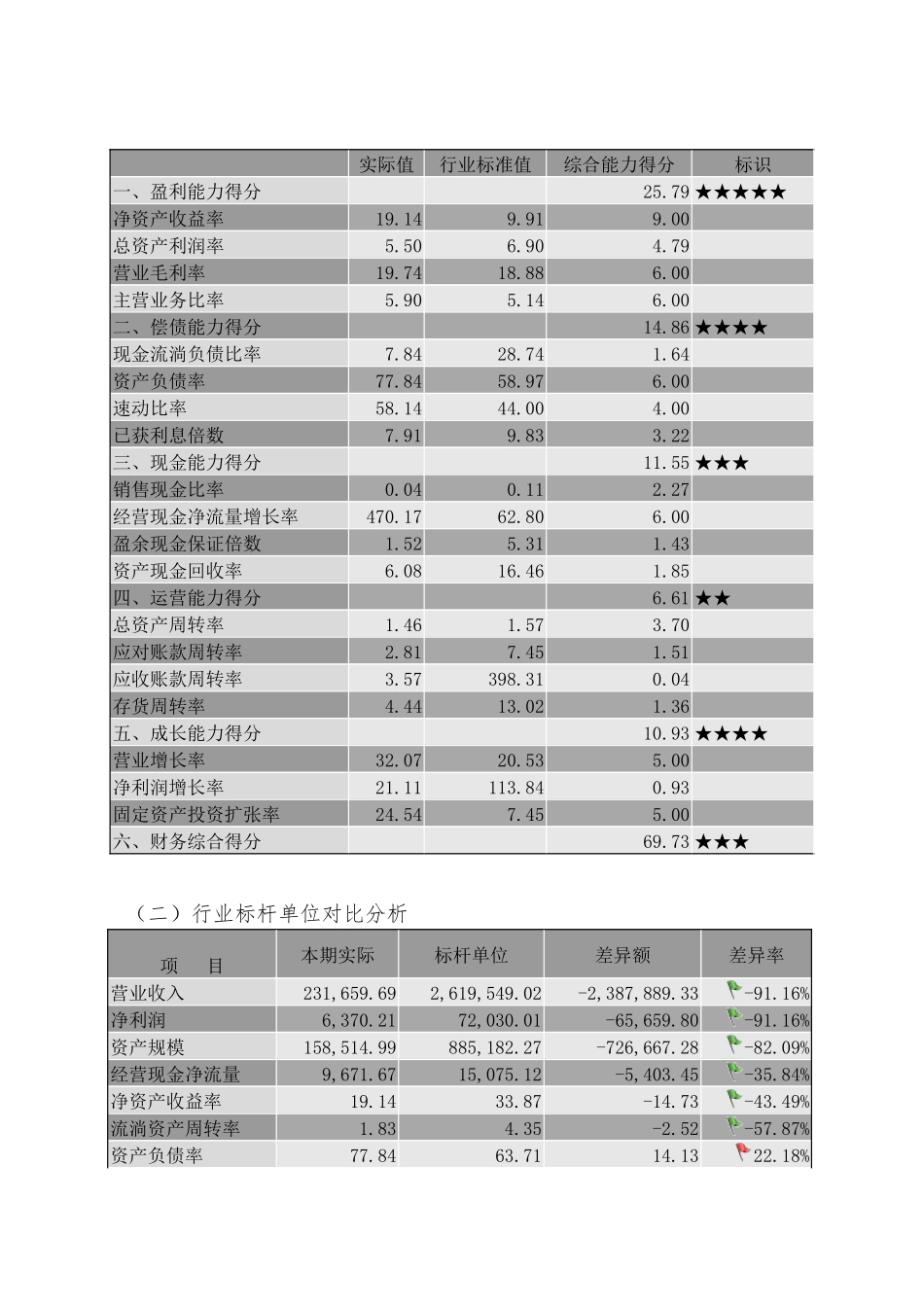 XX单位年度财务分析报告模板_第3页