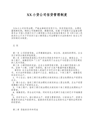 XX小贷公司信贷管理制度
