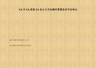XX市XX街道XX电力公司安健环管理体系评估样本