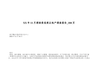 XX年11月湖南娄底商业地产调查报告-104页