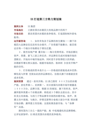 XX打造第三方势力策划案
