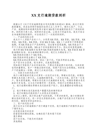 XX支行逾期贷款剖析