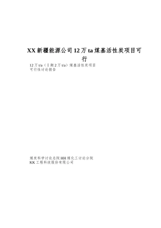 XX新疆能源公司12万ta煤基活性炭项目可行