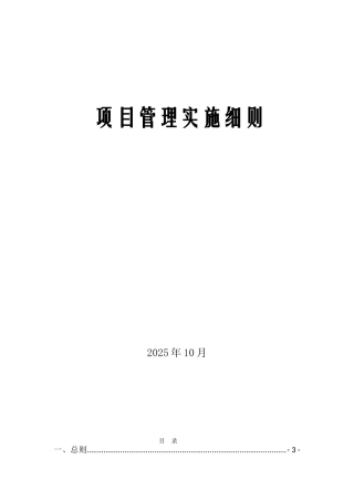 [陕西]大型广场项目管理实施细则