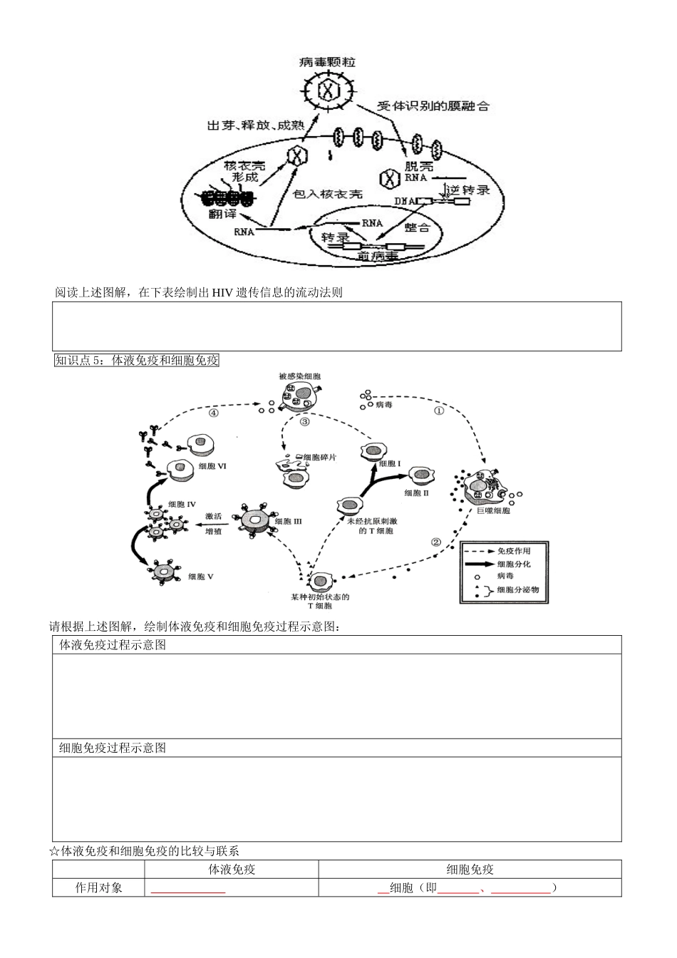 《免疫调节》公开教学_第3页