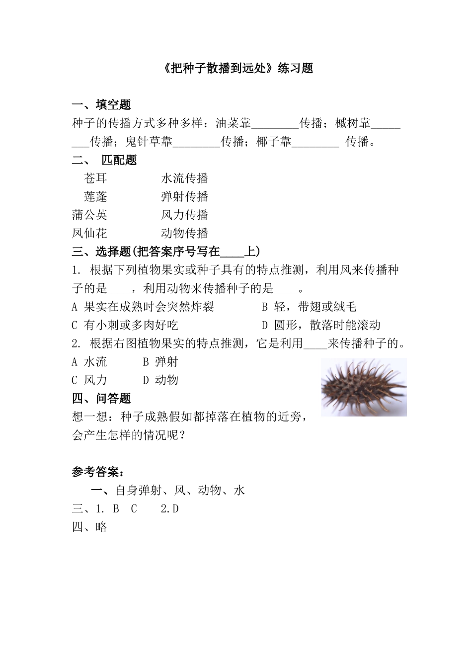 《把种子散播到远处》练习题_第1页