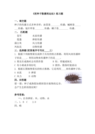 《把种子散播到远处》练习题