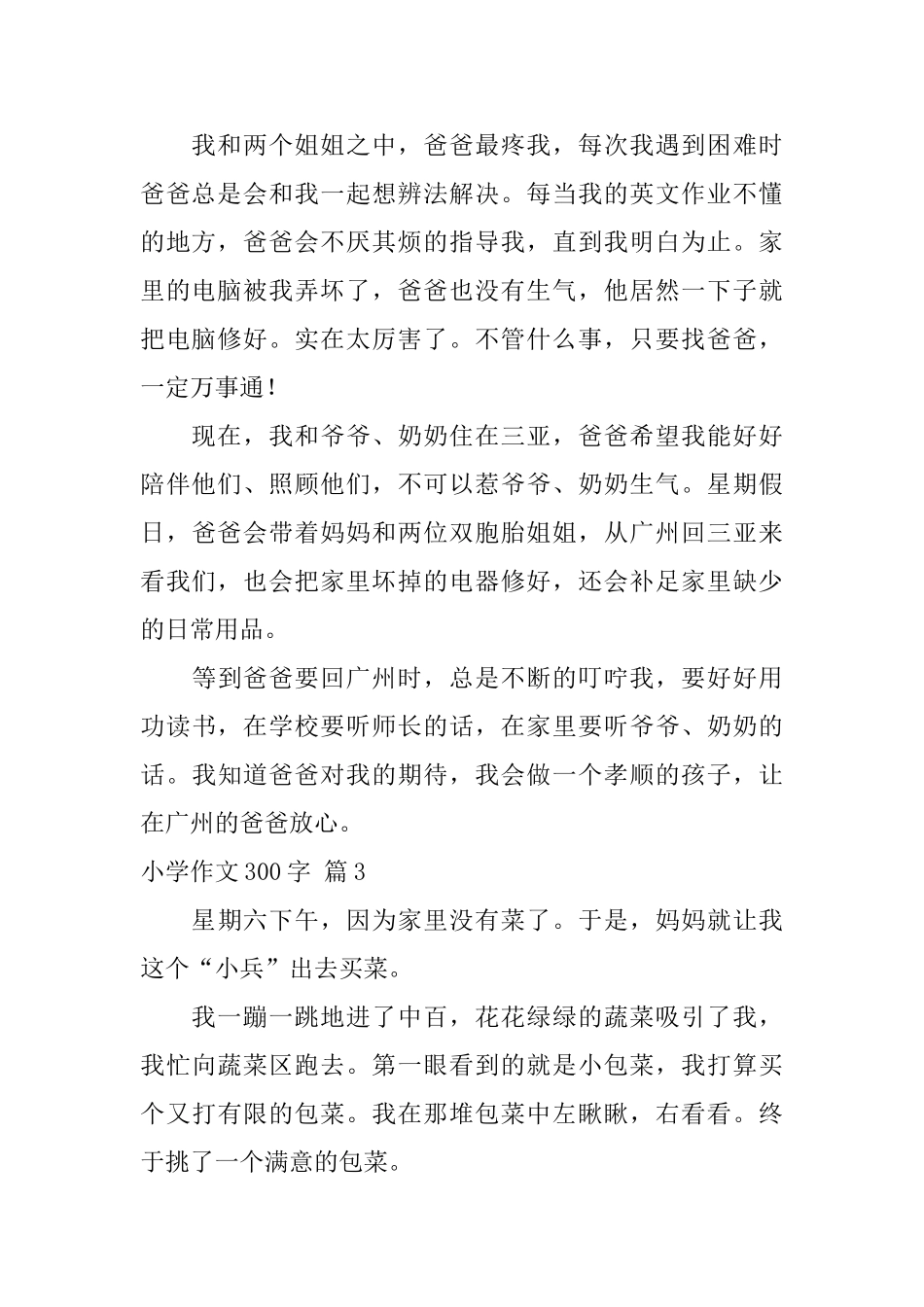 【精华】小学作文300字3篇_第2页