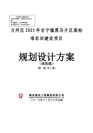 万州甘宁2025高标项目文本3