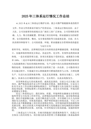 三体系运行情况工作总结