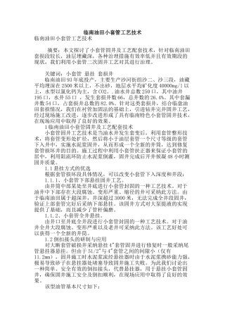 专业论文文献--临南油田小套管工艺技术