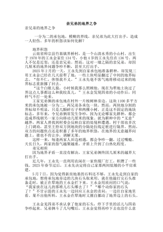 专业论文文献--亲兄弟的地界之争