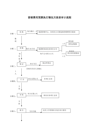 专项审计流程图