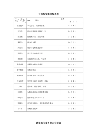 业务能力分析表