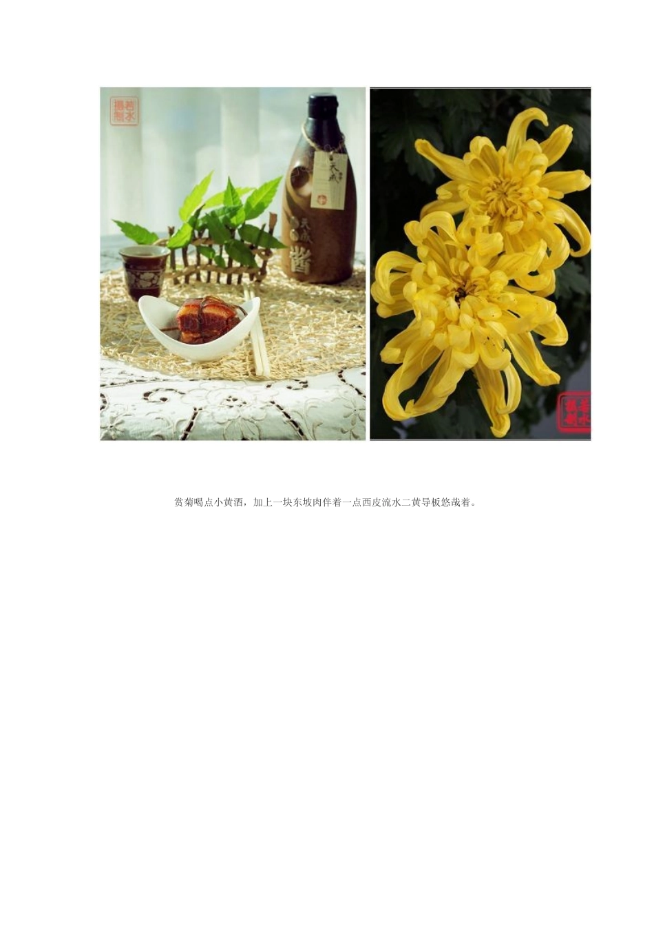 东坡肉与红烧肉_第3页