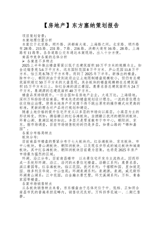 东方塞纳策划报告