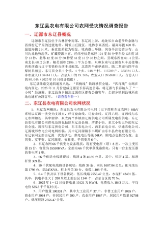 东辽县农电有限公司农网受灾情况调查
