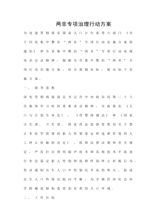 两非专项治理行动方案精品策划方案