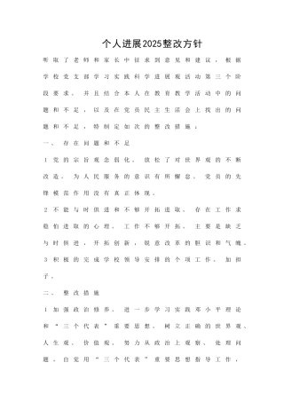 个人发展2025整改方针精品策划方案